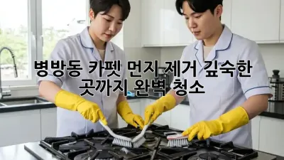 병방동 카펫 먼지 제거🧹! 깊숙한 곳까지 완벽 청소✨