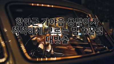 함안군 가야읍 용달이사🚚💨 똑똑하게 고르는 법! (ft.꿀팁 대방출🍯)