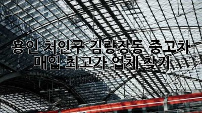 용인 처인구 김량장동 중고차 매입 최고가 업체 찾기